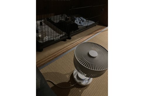 写真49014_1