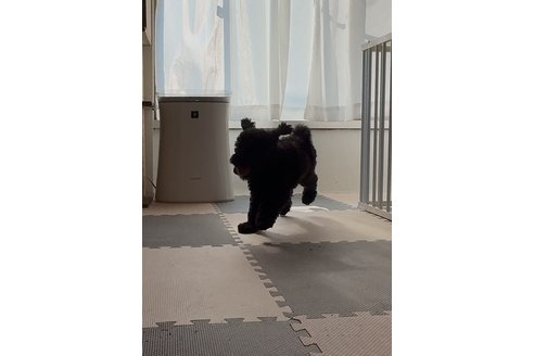 写真49021_2