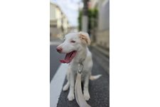 写真49029_2