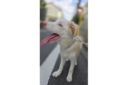 写真49029_3