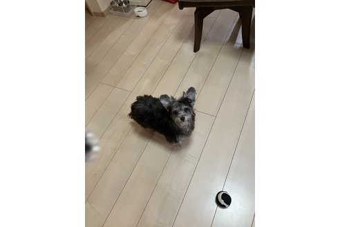 写真49060_2