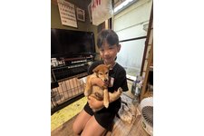 写真49089_2