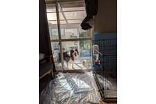 写真49150_1