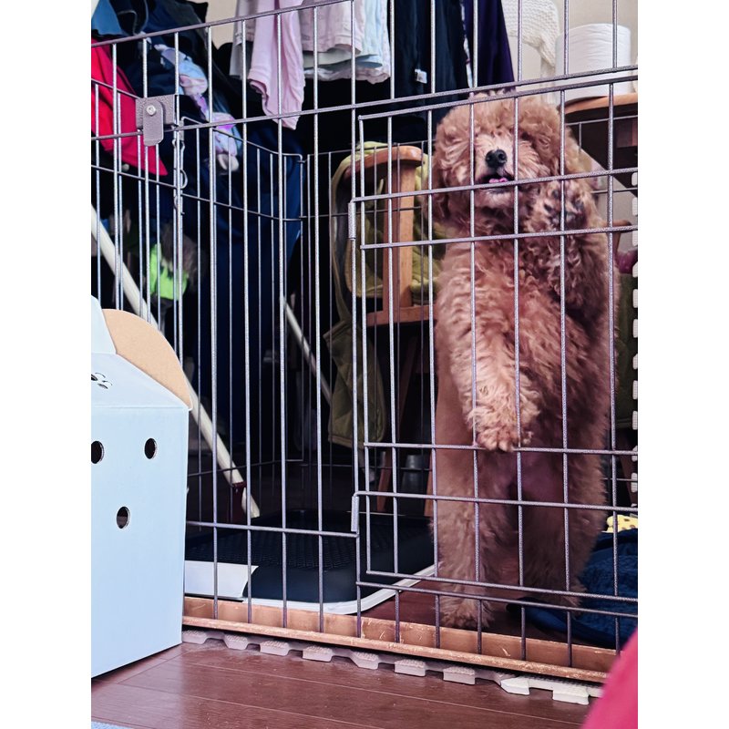 写真49167_2