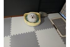 写真49281_1