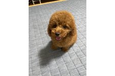 写真49390_1