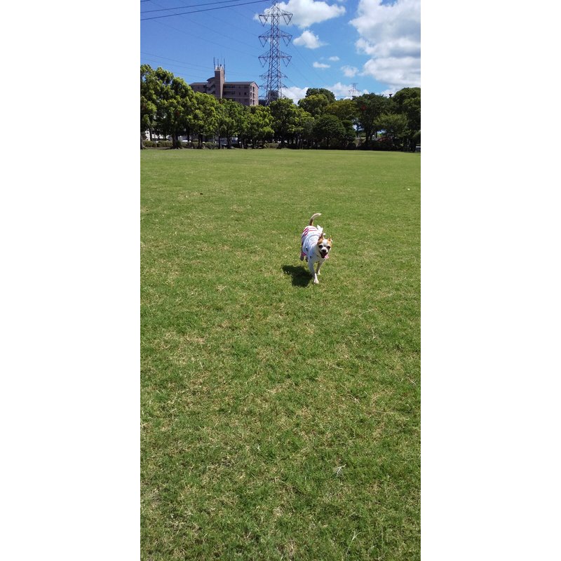 写真49495_2