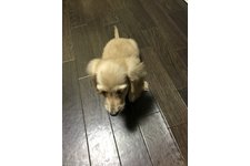 写真49500_1
