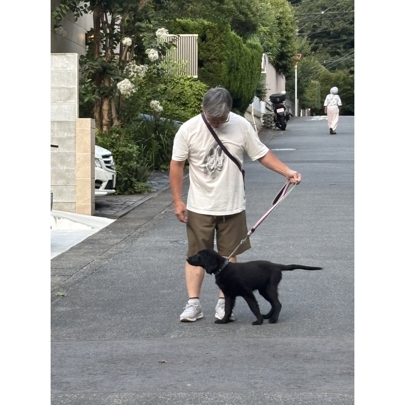写真49545_4