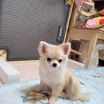 写真_3