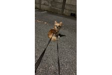 写真49708_1