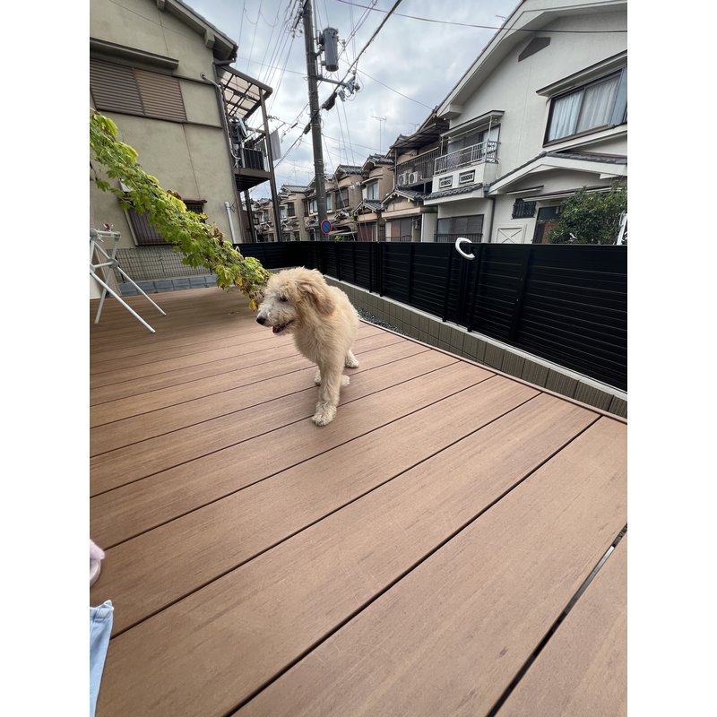 写真49965_3