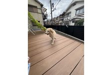 写真49965_3
