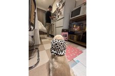 写真49985_1