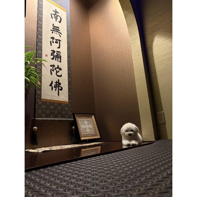 写真49989_1
