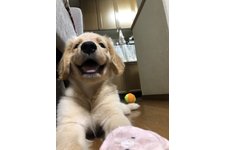 写真50019_1