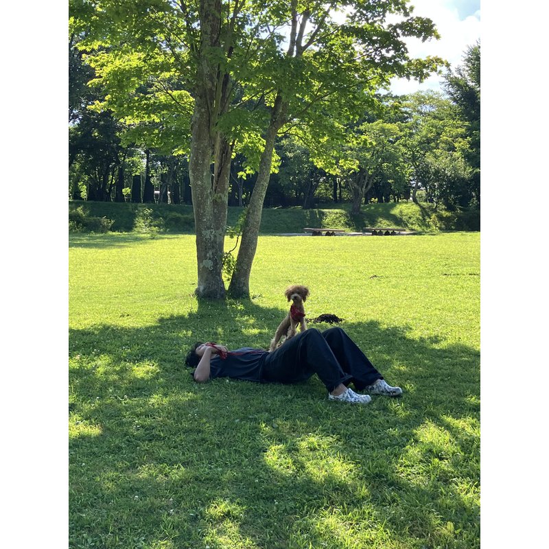 写真50057_1