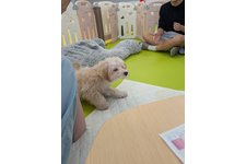写真_3