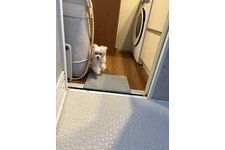 写真50441_2