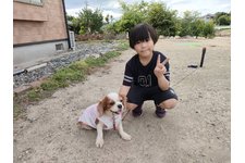 写真50497_1