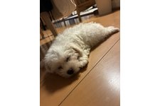 写真50512_1