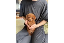 写真50539_2