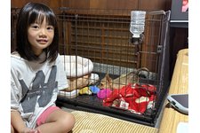 写真50583_2