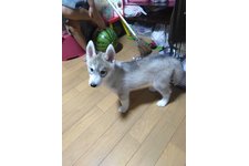 写真50629_2