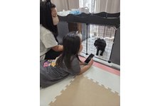 写真50639_3