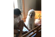 写真50646_1