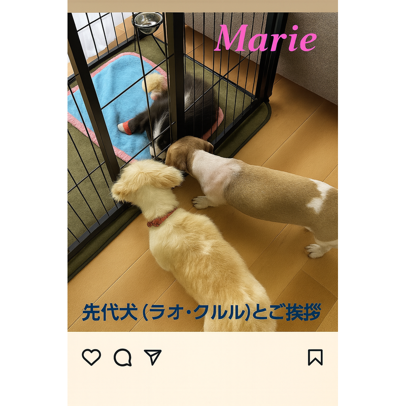 写真50668_2