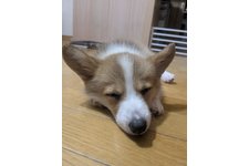 写真50674_1