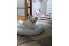 写真50782_3