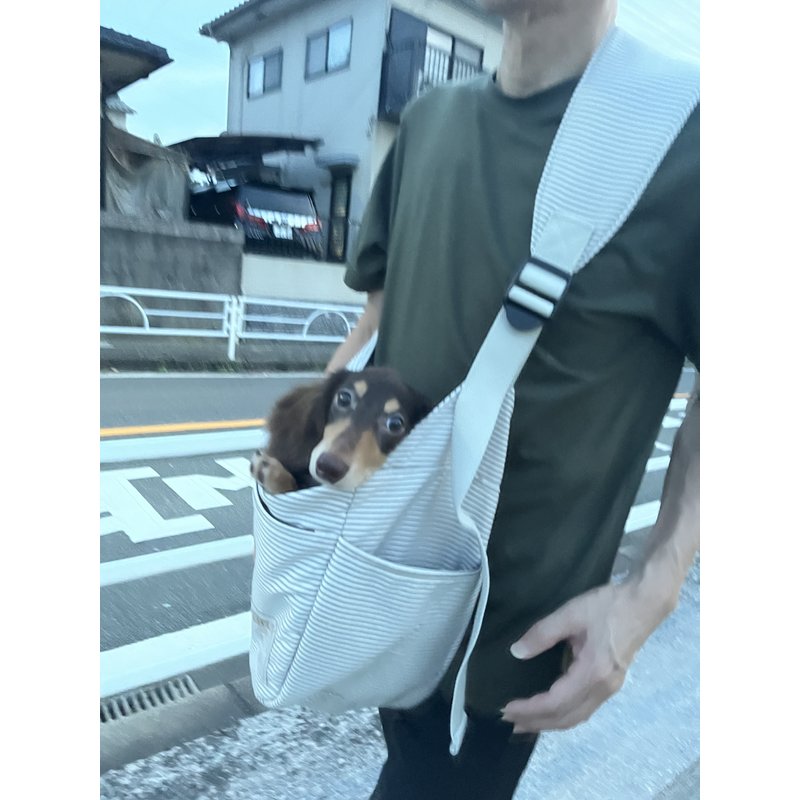 写真50838_4
