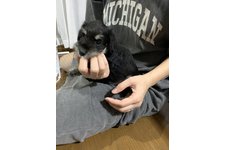 写真50868_1