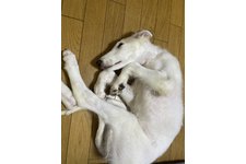 写真50880_1