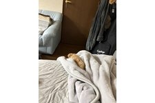 写真50909_1