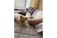 写真50966_1