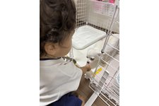 写真50994_3