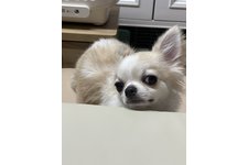 写真51019_1