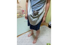 写真51031_2