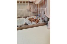 写真_2