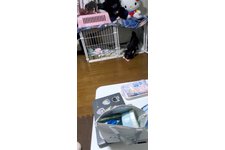 写真51439_2