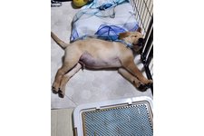 写真51764_3