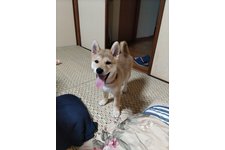 写真52005_2