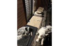 写真52010_2