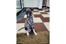 写真52022_2