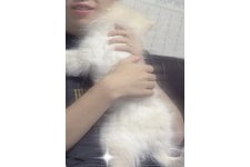 写真52050_3