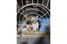 写真52055_1