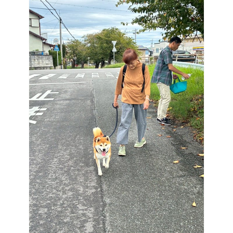 写真52149_1